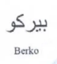Son Berko