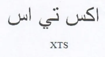اكس تي اس