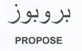 PROPOSE بروبوز