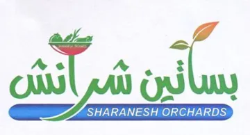 A Pe ON بساس