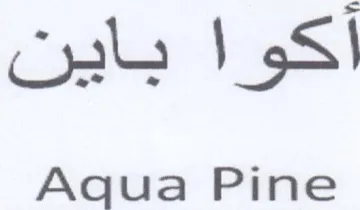 Aqua Pine باين