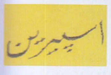(figurative mark) trademark logo
