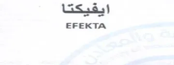 EFEKTA الشبكتا