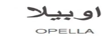 2 95 trademark logo