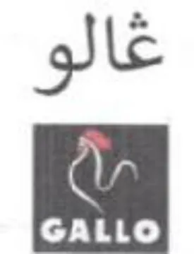 غالو