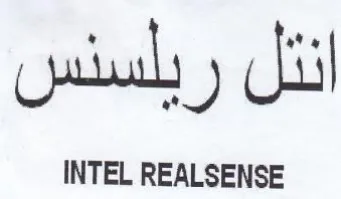 INTEL REALSENSE انئل ريلسنس