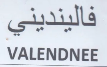 VALENDNEE فالينديني trademark logo