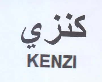 KENZI trademark logo