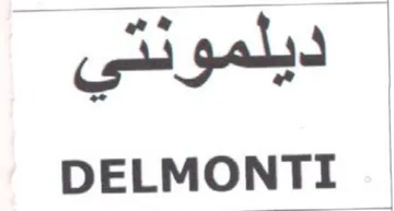 DELMONTI ديلمونتى