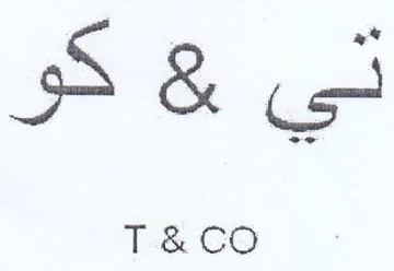 Fi
