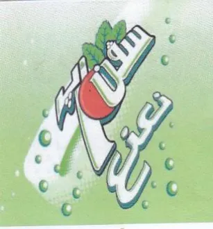 S c 0 4