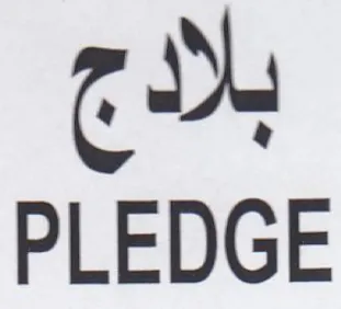 coy PLEDGE