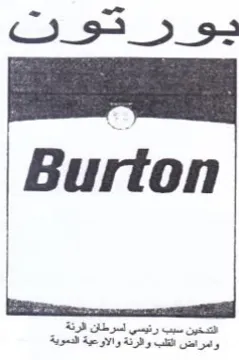 C33 5 s Burton