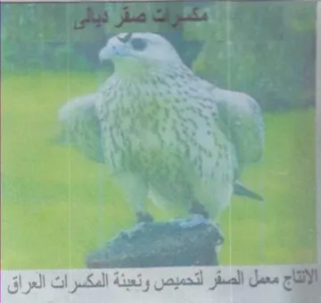 aoe ae اج معمل الصقر لتحميص وتعبنة المكسرات العر