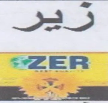 P D trademark logo