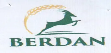 BERDARNSI