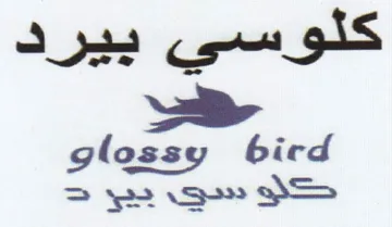 glossy bic كلوسي بيرد