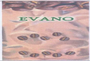 EvVAN اادج ونوك دنه