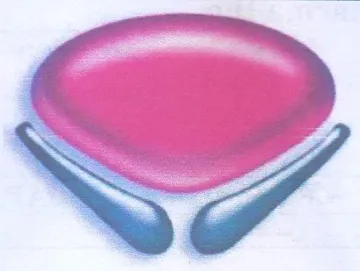 (figurative mark)