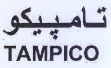 TAMPICO لامبيكو