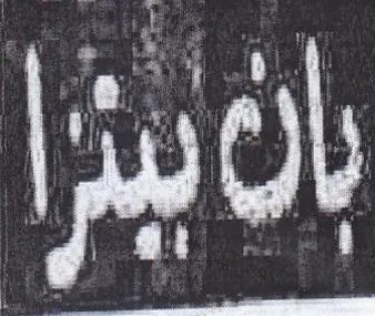 (figurative mark)