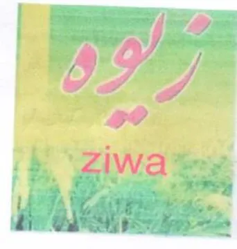 ik ZiWa Sey vA a 2 0 2 1 oa trademark logo