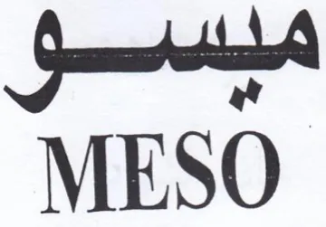 MESO