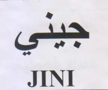 JINI trademark logo