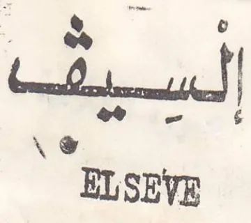 ELSEVE ار السيفا