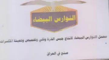 معصل النوارس البيضاء لانتاج جبس الذرة وقل