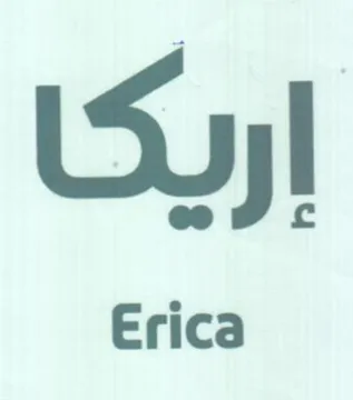 إريكا trademark logo