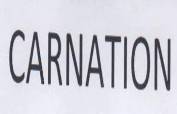CARNATION