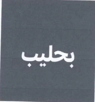 ae trademark logo