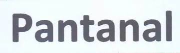 Pantanal