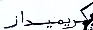 (figurative mark)