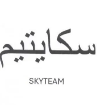 SKYTEAM سكأ يديم