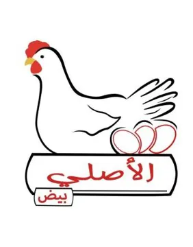(الأصلي بيض) . ; 46 يؤلين/ صنف:؛- )1 Y -د). ¢ *«* ريكدوت و زماردى يبشكدش كردنى داواكارى / تاريخ ورقم تقديم الطلب:- 150( ) (0؟71/17/913 ). WNNNNRNRNRNRNRNRNRNRNNRNNRNNNNNNND