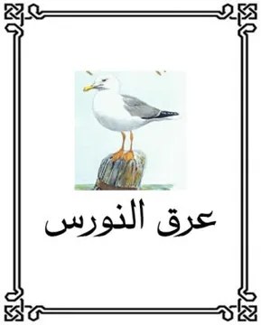 (figurative mark)