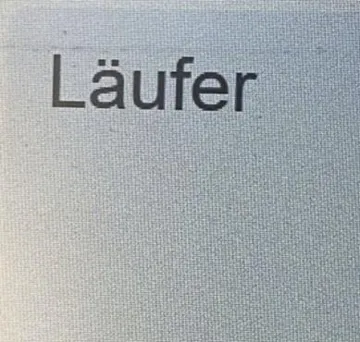/ اسم العلامة- ( Laufer )