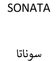 سوناتا– SONATA