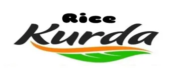 Rice Kurda