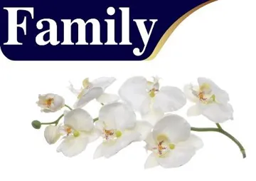 Family مع شكل