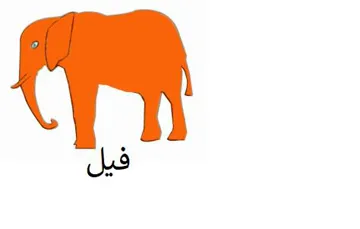 فيل
