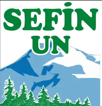 SEFiN UN