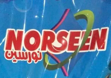 - NORSEEN نورسين