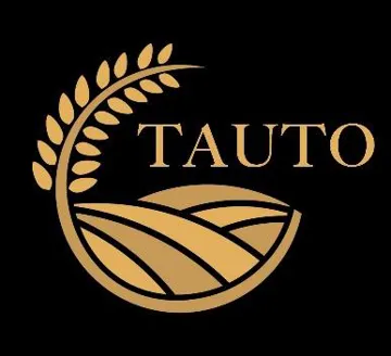 TAUTO