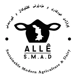 ALLE S.M.A.D