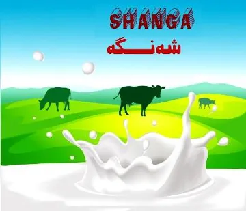 SHANGA شةنطة - مع الشكل