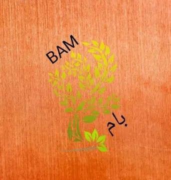 بام- BAM