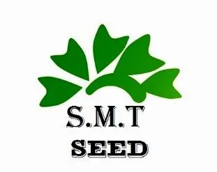 S.M.T. SEED مع شكل